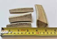 Bois de cerfs / Deer antler Mini