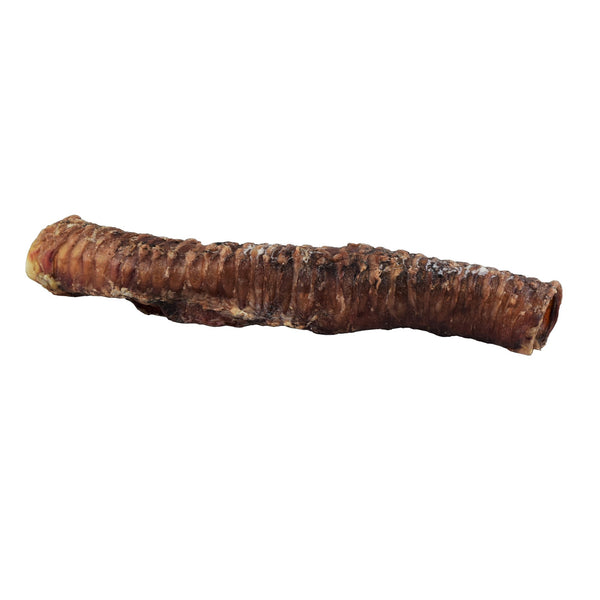 Trachée de boeuf // Beef trachea