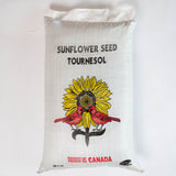 Graines de tournesol / Sunflower seed