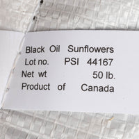 Graines de tournesol / Sunflower seed