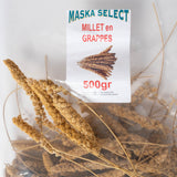 Maska Select Millet en Grappe / Maska Select bunch millet