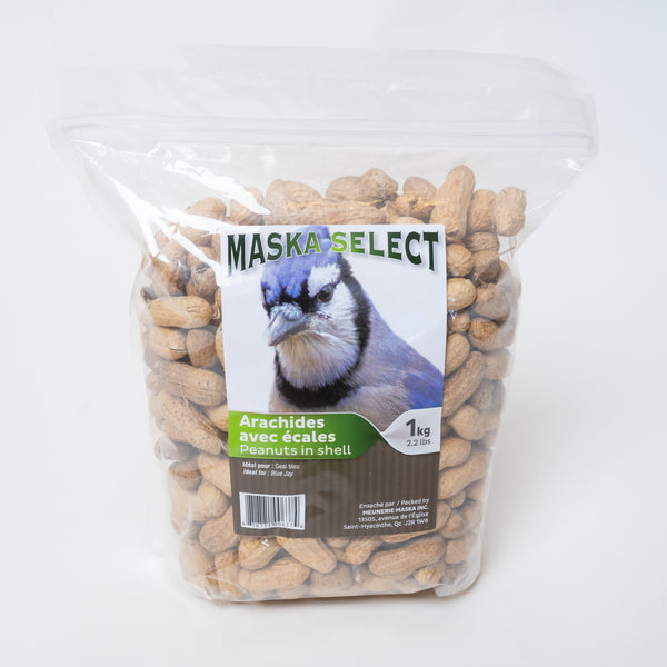 Maska select peanuts in shell