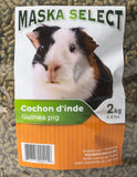 Maska Select guinea pig