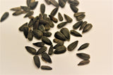Sunflower seed for birds