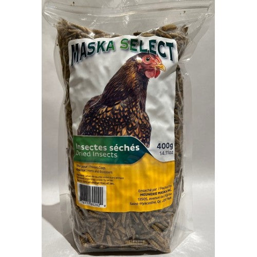 Dried insects for chickens