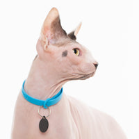 NUVUQ collier pour chat / NUVUQ cat collar