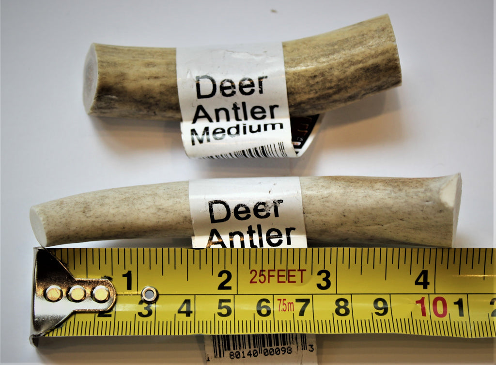Bois de cerfs / Deer antler Medium