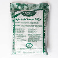 Graines de Nyjer / Nyjer seed
