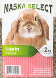 Lapin / Rabbit