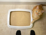 World’s Best litière pour chat  / World’s Best Cat Litter
