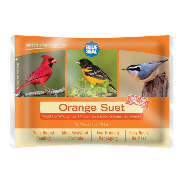 Blue Seal suif orange / Blue Seal suet orange