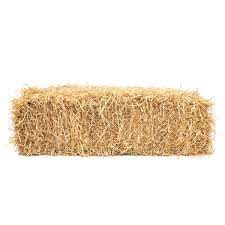 Paille petits animaux / Small animal bedding