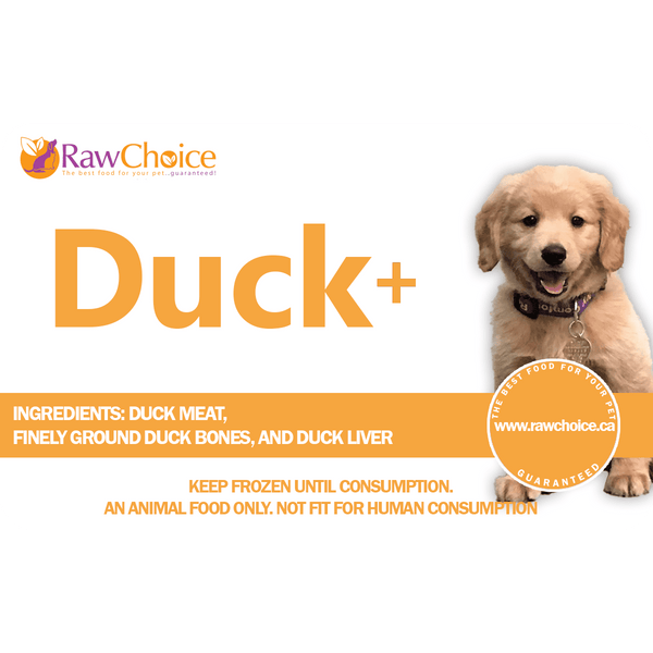 RawChoice Canard / Duck